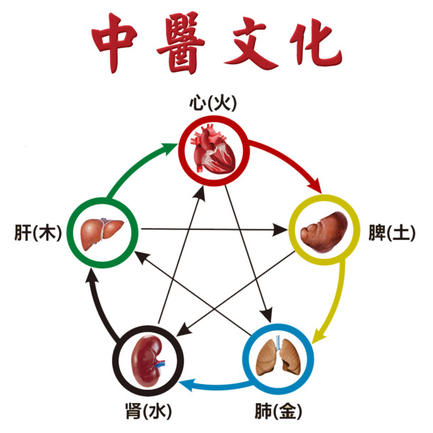 中医文化PNG透明图，中国风装饰元素，高清素材免费下载
