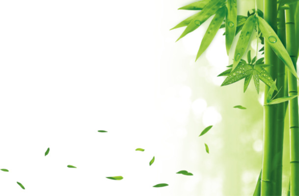 端午节竹子落叶PNG透明图，高清节日元素，设计素材免费下载