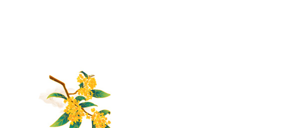 手绘桂花树枝PNG透明图，节日装饰元素，高清素材免费下载