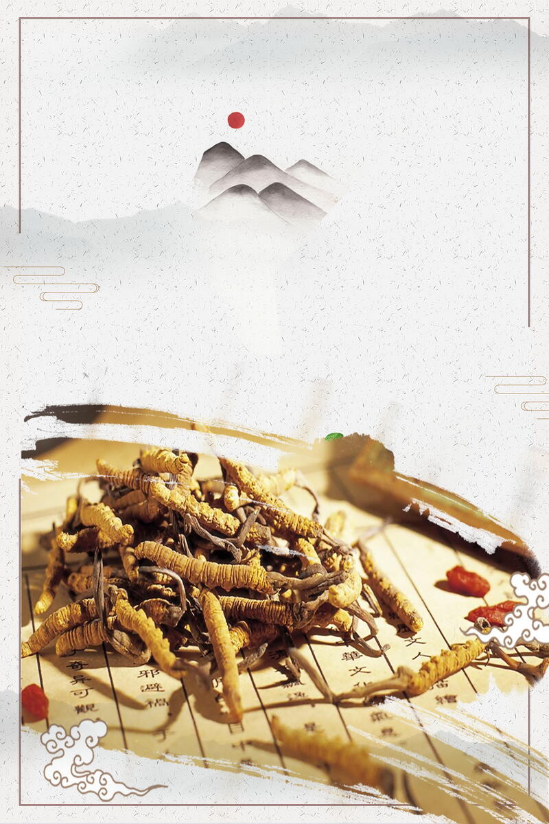 冬虫夏草中医文化，复古中国风高清JPG与PSD设计素材下载
