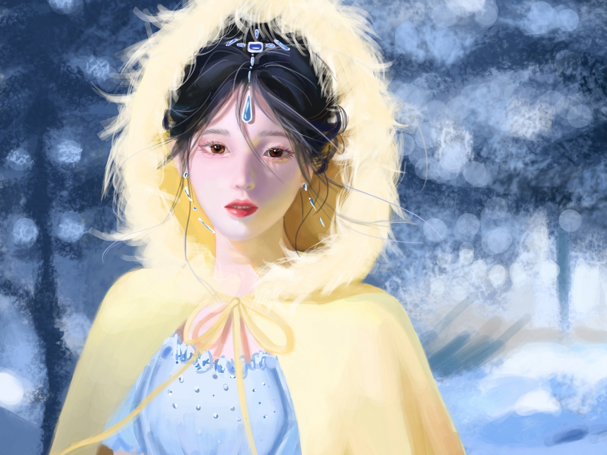 公主蓝裙雪地披风，iPad高清壁纸2732x2048，精美平板背景图片免费下载