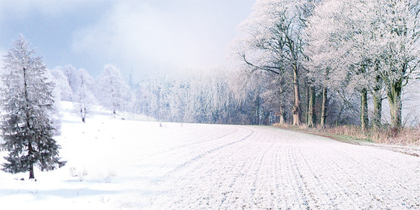 圣诞节日元素，冰天雪地背景PNG透明高清图片素材，免费下载