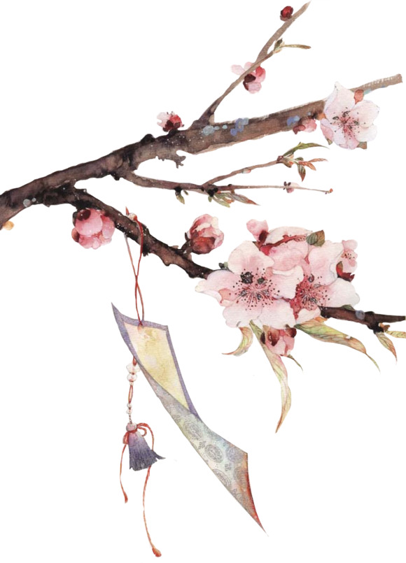 古风白色花瓣PNG透明图，高清中国风装饰元素，设计素材免费下载