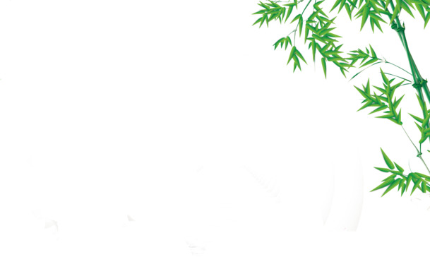 端午佳节绿色艺术竹叶PNG素材，高清透明，设计下载必备