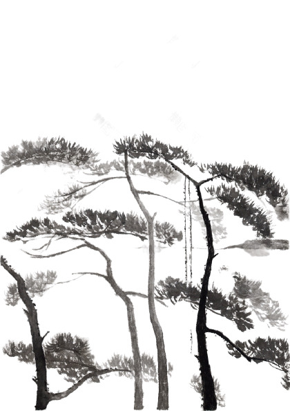 中国风水墨松树PNG透明图片，高清装饰元素，设计素材免费下载