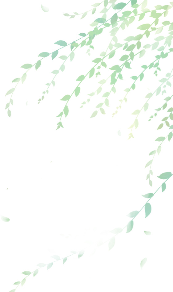空中飘舞柳枝高清PNG，透明动植物元素，创意植物图片素材下载