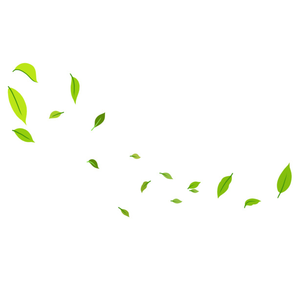 春日绿意，高清叶片PNG透明图片，植物设计素材下载