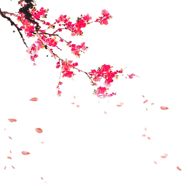 仙气缭绕桃花林，高清PNG透明图片，漂浮花瓣元素，设计素材免费下载