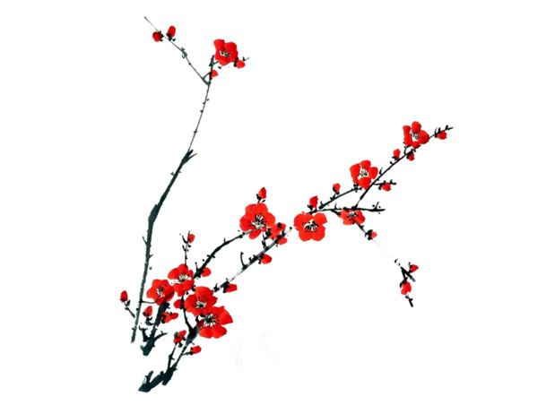 梅花元素PNG透明图，动植物高清素材，免费下载设计资源