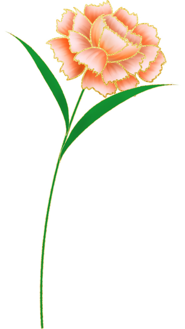 女神节专属，康乃馨高清PNG透明图，妇女节节日元素设计素材下载