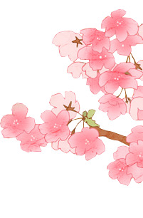 高清PNG水墨梅花装饰元素，透明笔触图片素材，免费下载