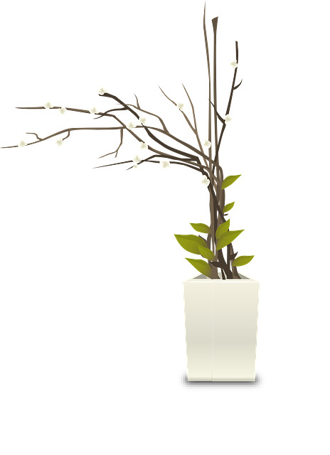 室内盆栽植物装饰，高清PNG透明植物花盆与花瓣图片素材下载