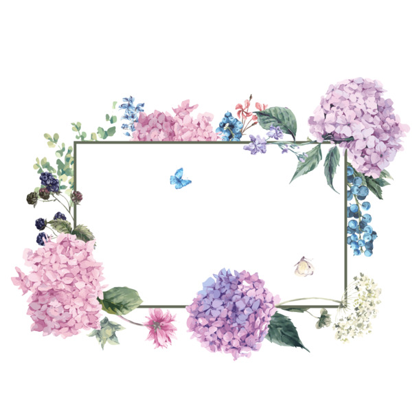 高清PNG透明鲜花边框矢量图，精美装饰元素，设计素材免费下载