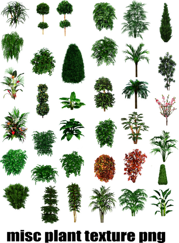 绿色植物素材，高清PNG透明树木灌木丛图标，创意装饰元素免费下载