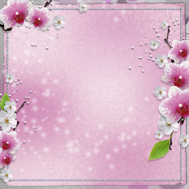 粉红花朵边框PNG透明背景素材，高清底纹图片设计下载