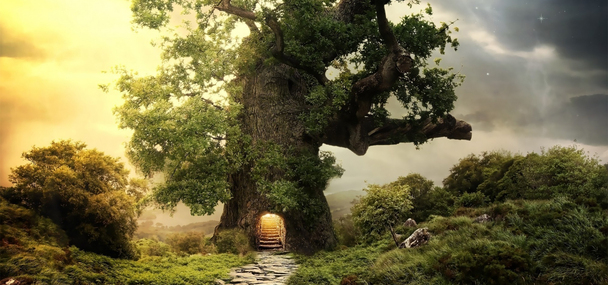 梦幻古树森林美景，高清PNG透明背景banner海报设计素材下载