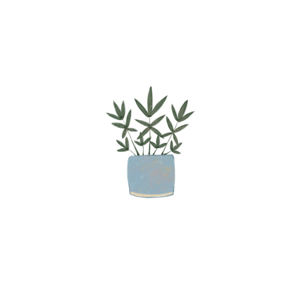 桌面绿植PNG透明图，高清动植物元素，设计素材免费下载