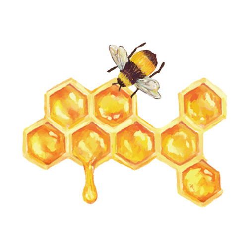 卡通手绘蜜蜂与蜂蜜PNG素材，高清透明，手绘卡通元素，免费下载