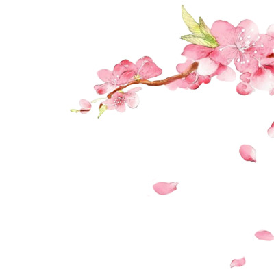 手绘桃花花瓣飘落PNG素材，高清透明图片，创意漂浮元素设计下载