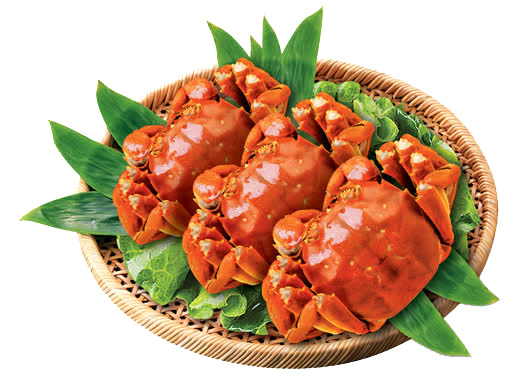 中秋节必备，大闸蟹与螃蟹高清PNG透明图片，节日元素设计素材免费下载