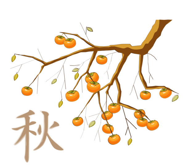 矢量柿子树高清PNG透明图片，植物装饰元素，设计素材免费下载