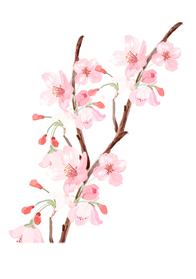 花栀子花PNG透明图片，免扣高清动植物元素，设计素材一键下载