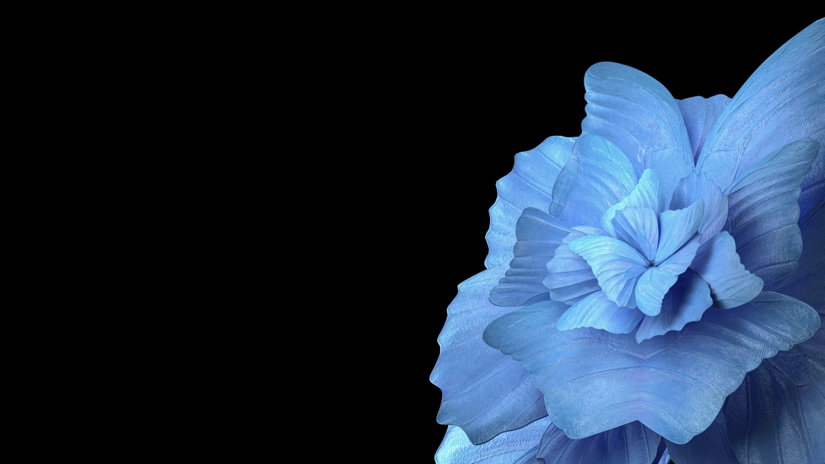 vivo Pad平板电脑，高清蓝色花瓣4K壁纸，3840x2160分辨率，一键下载美化桌面