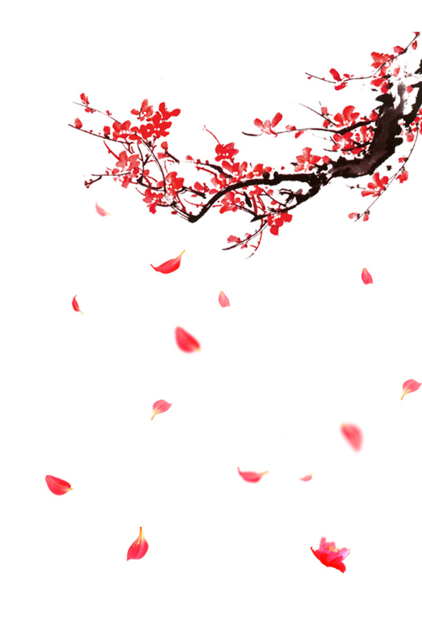 高清PNG梅花飘落素材，透明漂浮花瓣图片，设计必备，免费下载