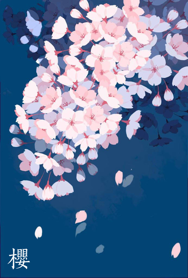手绘白色樱花PNG透明背景，高清海报设计素材免费下载
