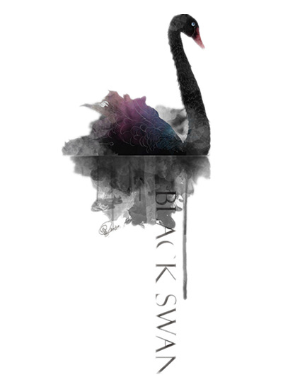 黑天鹅PNG透明图，高清动物装饰元素，设计素材免费下载