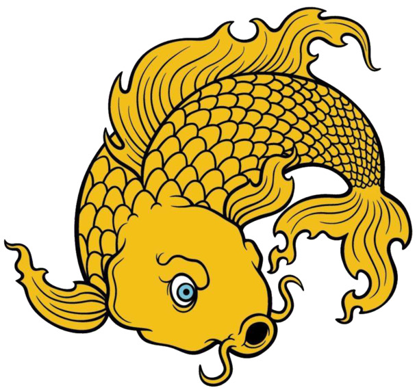 黄色鱼气愤表情，高清PNG透明图片，动植物元素动物设计素材下载