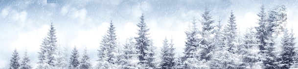 唯美雪景林木淘宝海报PNG透明背景，高清设计素材下载