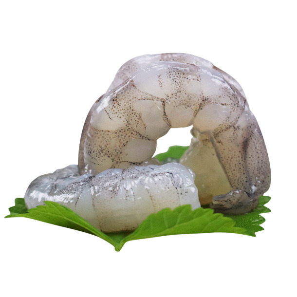 高清冷冻青虾仁PNG透明图片，生活用品装饰元素，设计素材免费下载