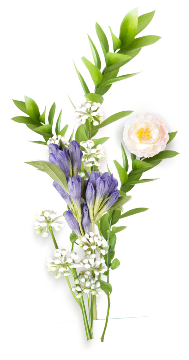 高清粉白鲜花PNG透明图片，漂浮花瓣设计素材，免费下载