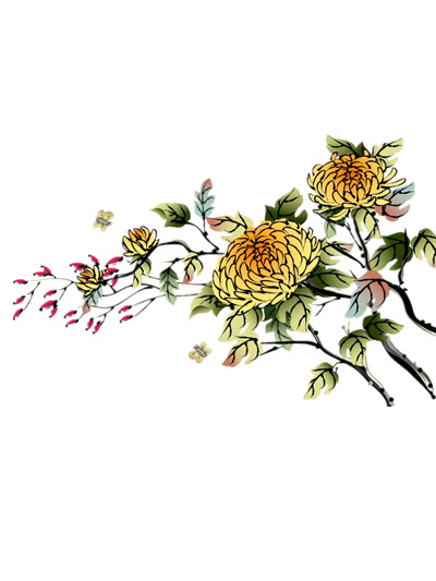 水墨菊花高清PNG素材，透明装饰元素，笔触墨迹，免费下载