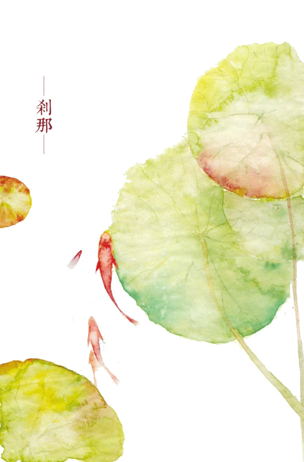 手绘荷叶PNG透明图，动植物元素设计素材，高清下载