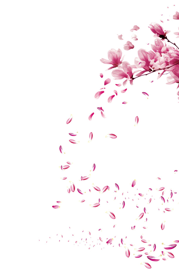 高清PNG透明图片，红色桃花瓣与漂浮叶子，设计素材免费下载