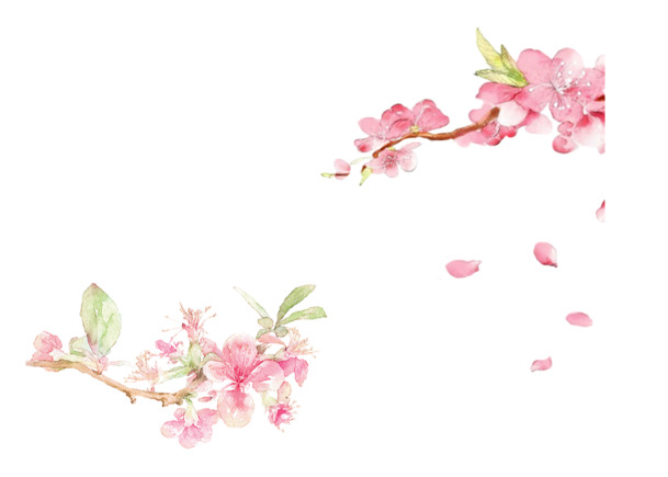 手绘桃花PNG透明图，高清漂浮花瓣元素，设计素材免费下载