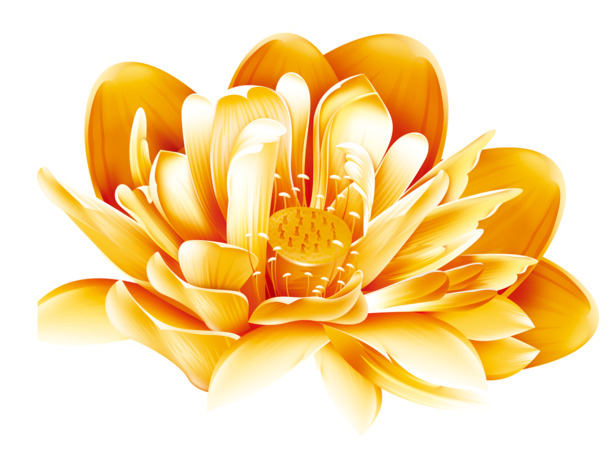 黄金莲花手绘PNG透明图片，精美花卉背景装饰元素，高清下载素材