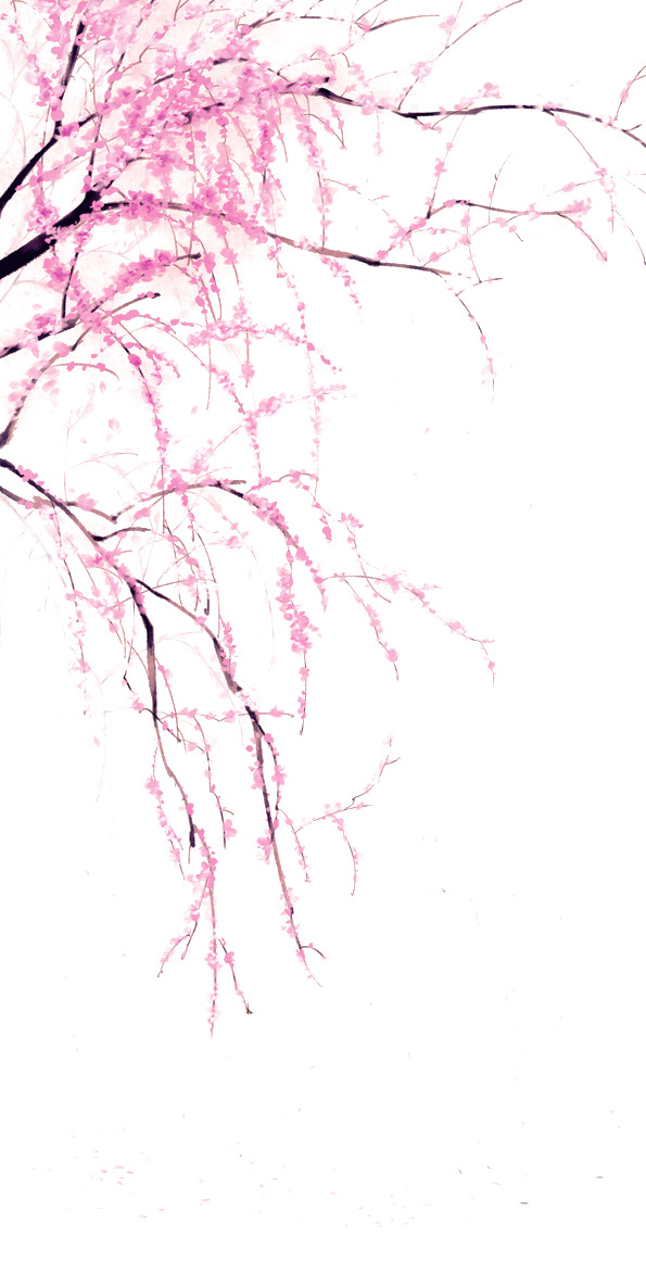 粉红桃花背景PNG，高清透明动植物元素，植物图片设计素材下载