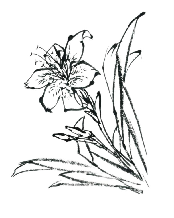 线描蝴蝶花PNG透明图片，高清装饰元素，墨迹笔触设计素材下载