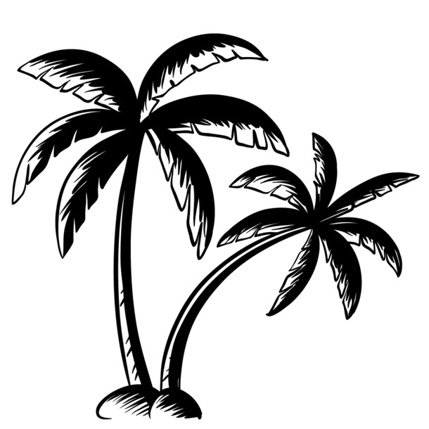 卡通简约黑白插画PNG透明图片，小清新简笔画免扣元素，高清下载