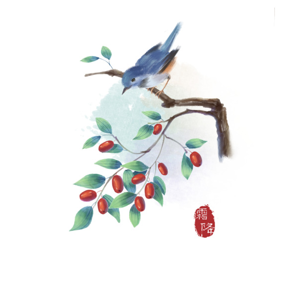 手绘喜鹊红枣树PNG素材，高清透明背景，卡通手绘风格，免费下载