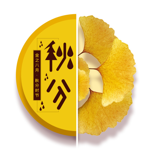秋分圆形银杏造型，金黄叶子漂浮PNG图片，高清透明PSD设计素材下载