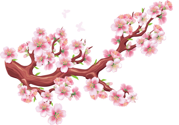 中国风粉色桃花插画，高清PNG透明素材，精美装饰元素，免费下载