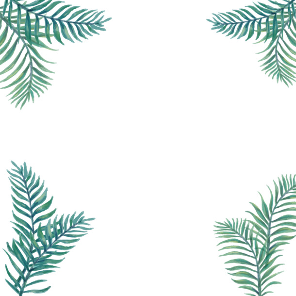热带绿植高清PNG，绿色叶子手绘卡通元素，透明背景，设计素材免费下载