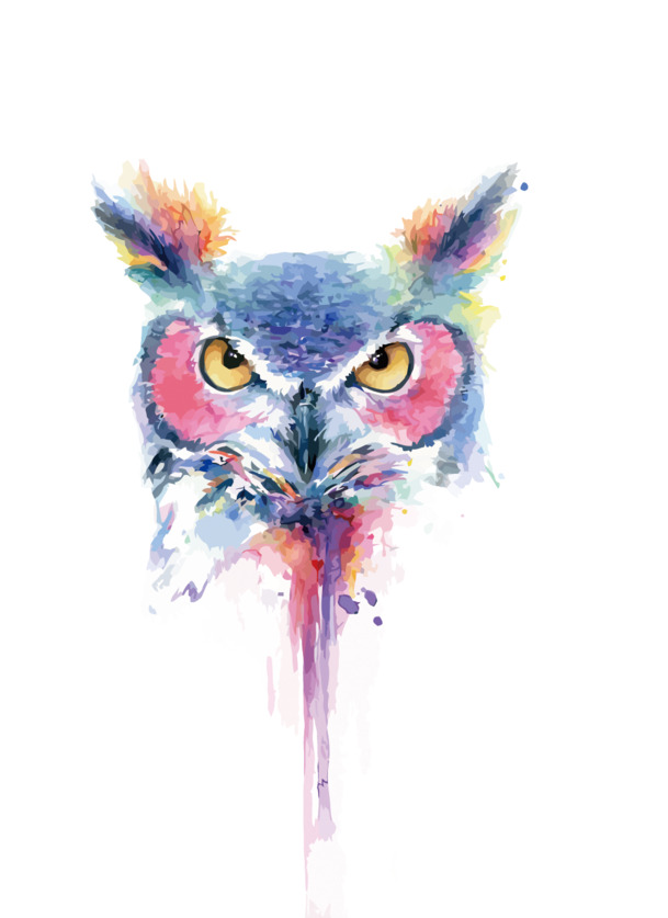 矢量水彩猫头鹰PNG/EPS素材，高清透明手绘卡通元素，免费下载