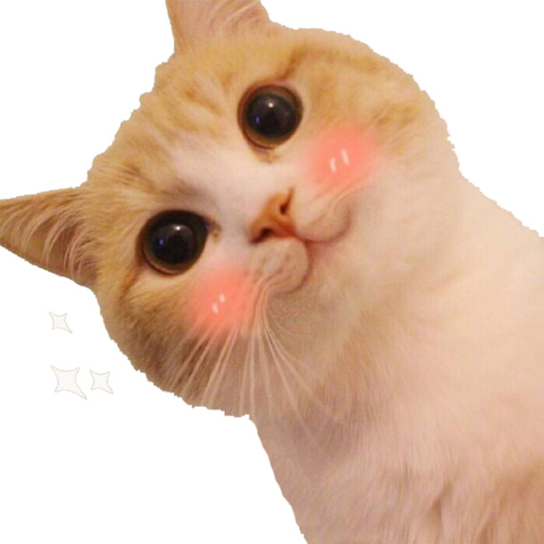 免费下载可爱猫咪高清PNG透明图片，精选动植物元素动物设计素材
