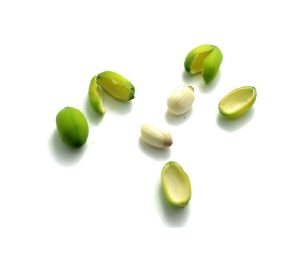 莲子壳白莲子PNG透明图，动植物元素，高清设计素材下载