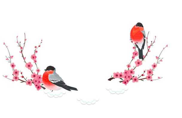 圣诞节红色花鸟PNG透明图片，高清节日元素设计素材下载